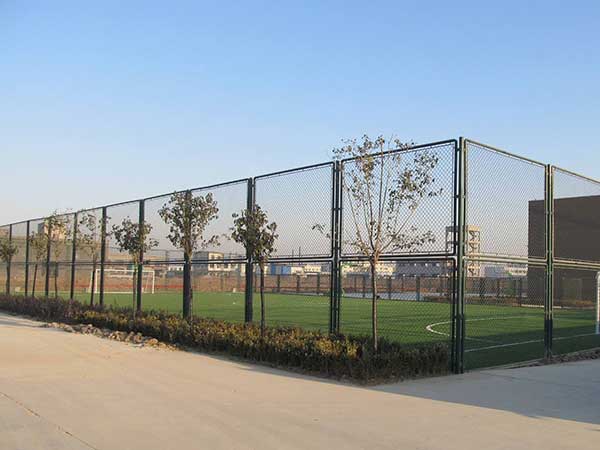 某地區(qū)足球場圍網(wǎng)施工案例